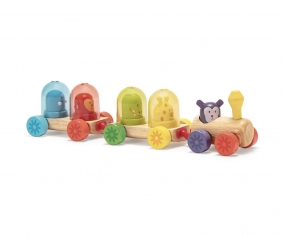Treno Attivit Rainbow