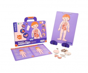 Mallette magntique Anatomy 
