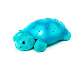 Cloud b Planet Turtle and Aqua Melodies