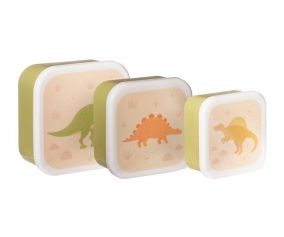 Set 3 Snack Box Desert Dino