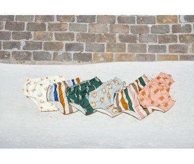 Lion Blue Swim Diaper