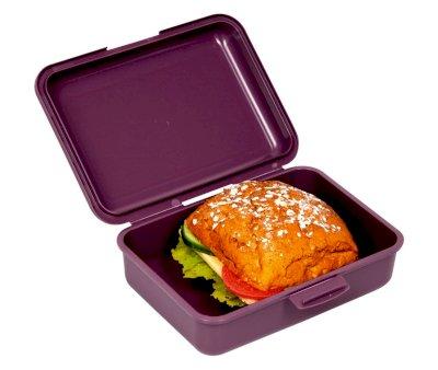 Lunch Box Bee Little Friends
