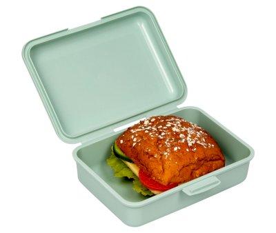 Caja de Almuerzo Lion Little Friends