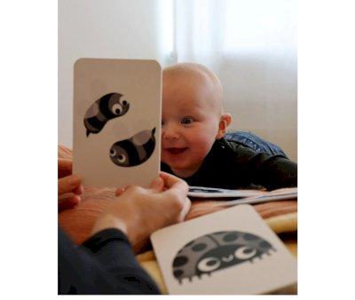 Cartas de Contrastes para Bebs