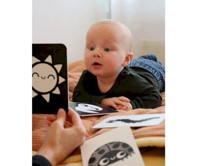 Cartas de Contrastes para Bebs
