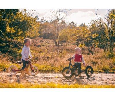 Balance Bike Trybike Cream