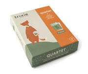 Gioco di Carte Quartet Trixie
