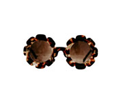 Occhiali da Sole Daisy Tortoise