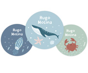 Pack 3 chapas Personalizadas Ocean