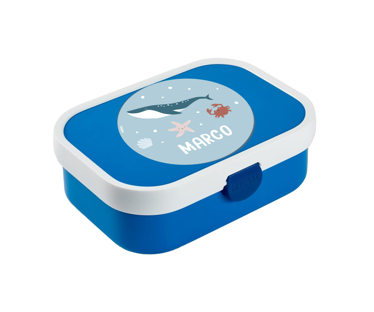 Caja Almuerzo Midi Campus Azul Ocean Personalizada