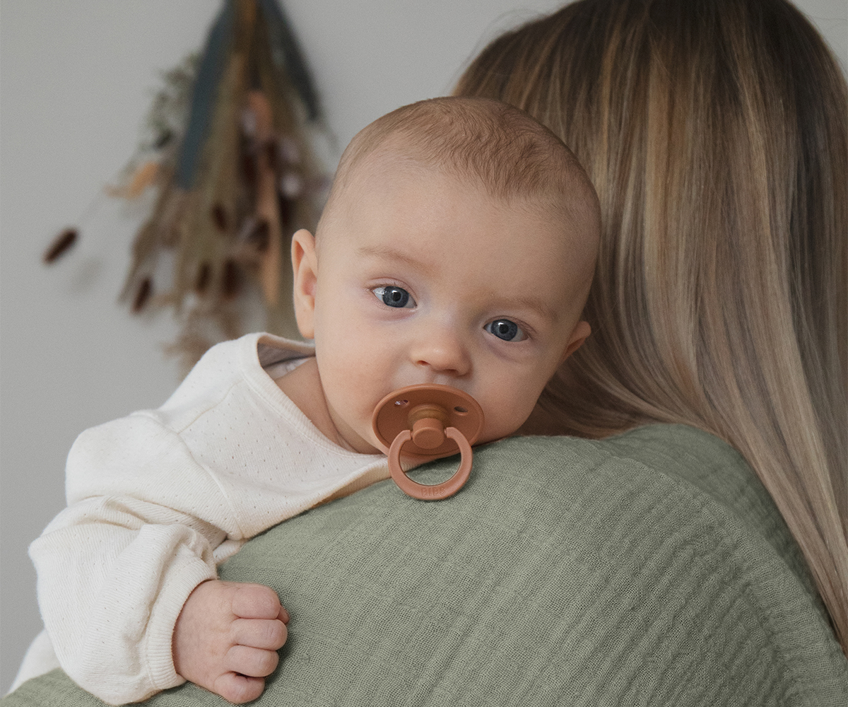 2 Lingettes En Mousseline BIBS Sage