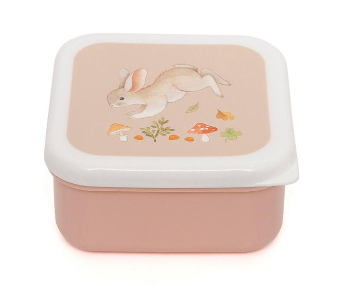 Set 3 Lunch Box Bear and Friends