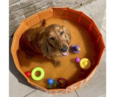 Piscina Plegable para Perros Huesos Naranja