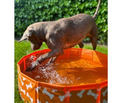 Piscina Plegable para Perros Huesos Naranja