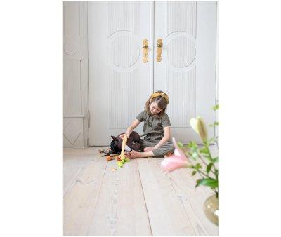 Hobby Horse Alicia Brown