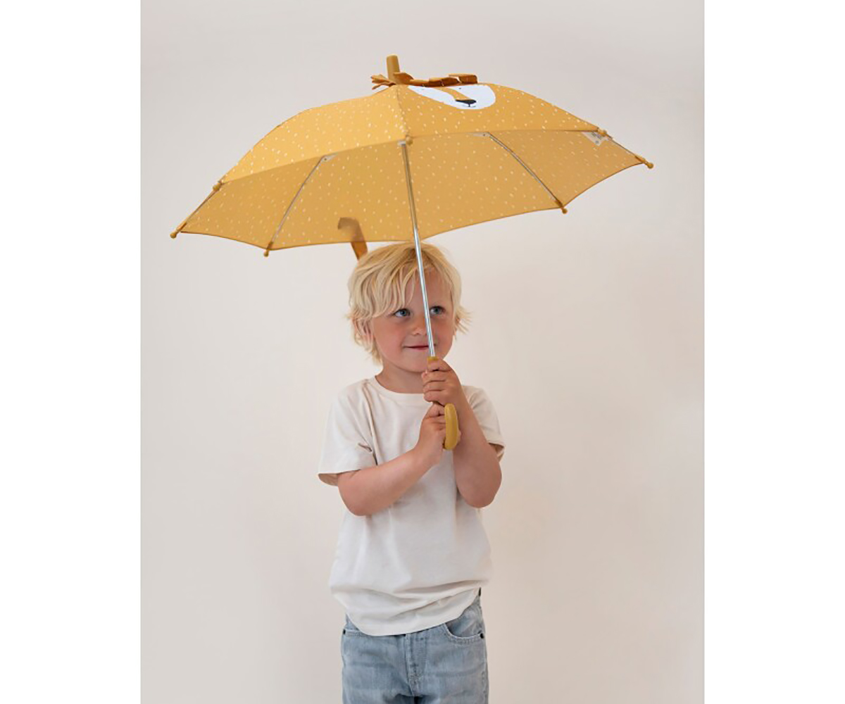 Parapluie M. Lion