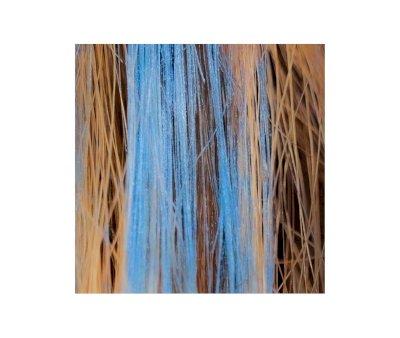 Mscara de Cabelo Azul