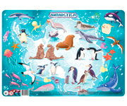 Puzzle Cornice Antartide 53pz