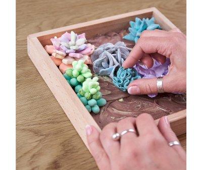 DIY Suculentas Tenderness