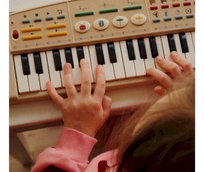Teclado Musical Lemon