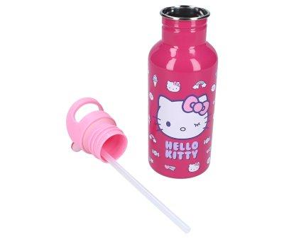 Stainless Steel Bottle Hello Kitty Take a Sip 500ml
