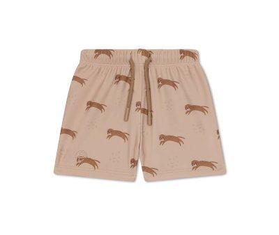 Costume Short Roamer