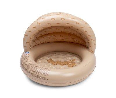 Piscine Gonflable avec Auvent Roamer