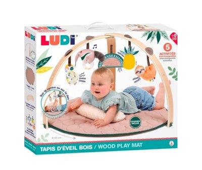 Gimnasio de Actividades Ludi