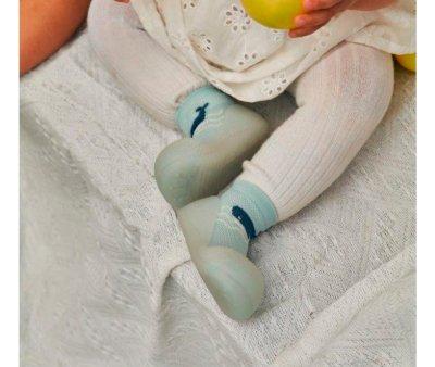 Calzado Attipas Whale Blue Aqua-X
