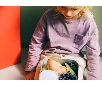 Caja de Almuerzo Bento Campus Grande Fairy Garden
