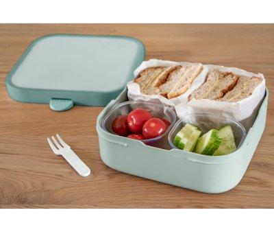 Caja de Almuerzo Bento Campus Grande Dino
