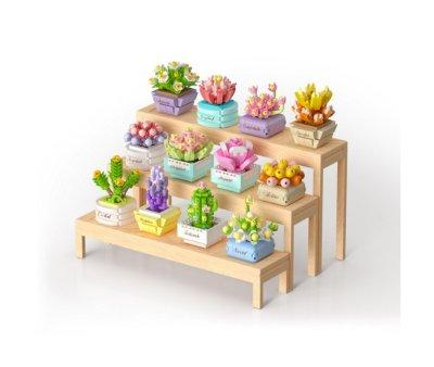 KOCO Pocket Bloom Boutique Cactus n.03