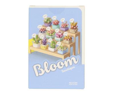 KOCO Pocket Bloom Boutique Crassula sp. n.04