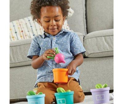 Hide & Seek Vegetable Garden