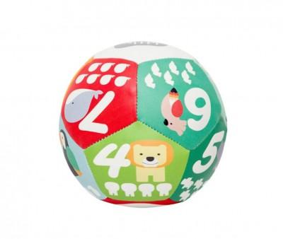 Pelota Blanda Jungla
