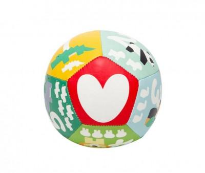 Pelota Blanda Jungla