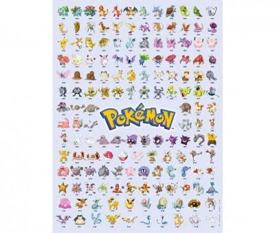 Quebra-cabea Pokmon 500 peas