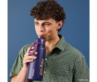 Botella Trmica con Boquilla Plegable y Asa 1L Harry Potter