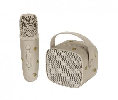 Altavoz Bluetooth y Karaoke Lemon