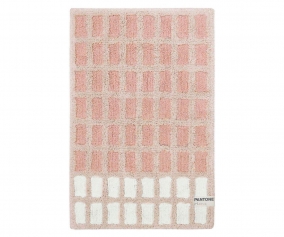 Alfombra Lavable Pantone Toulouse