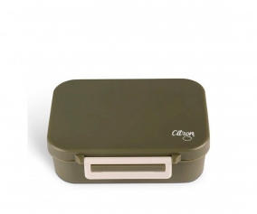 Lunch Box Basic Tritan Citron Verde