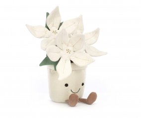 Planta Navidea Blanca