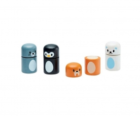 Arctic Animal Matching