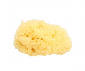 ponge marine naturelle pour enfants 