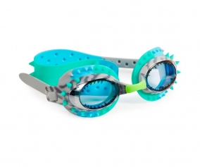 Lunettes de bain Raptor Blue Grey