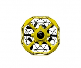 Fly Dance Giallo