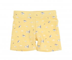 Swim Trunks Penguins