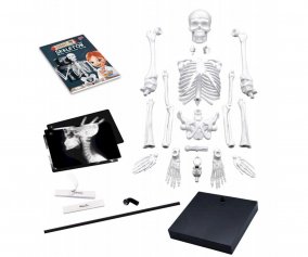 Giant Skeleton 85 cm
