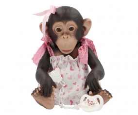 Lola, a chimpanz com fitas e coraes de renda rosa