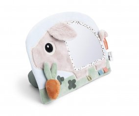 Miroir d'veil avec Activits Sensorielles Pigee